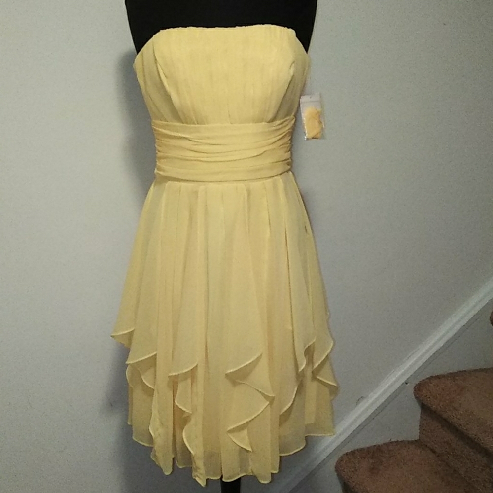 David's Bridal Gown